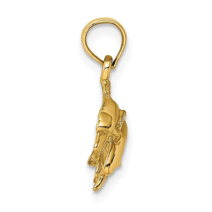 Charm Necklaces 14K 2D Polished Double Dolphins Jumping Left Charm TreasureFineJewelers