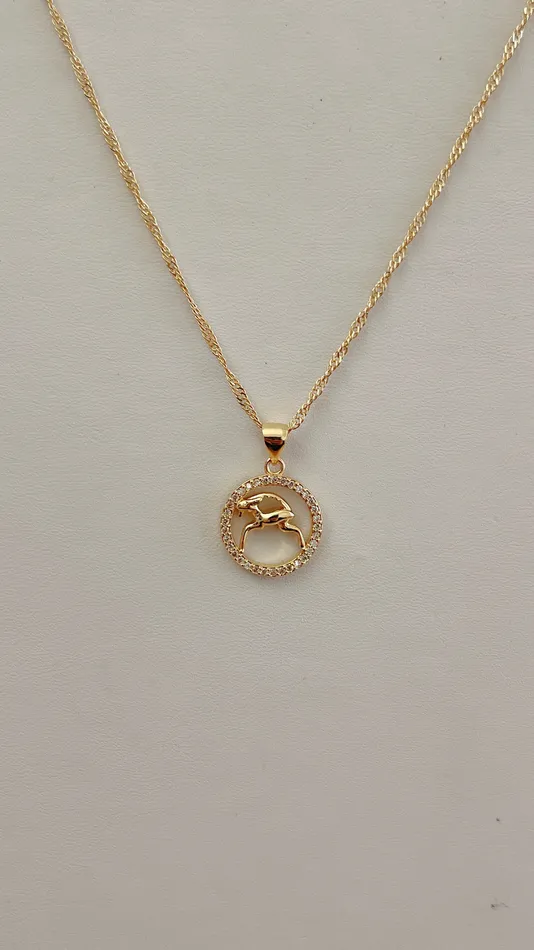 Morena and Proud Necklaces Diamond Zodiac Necklace