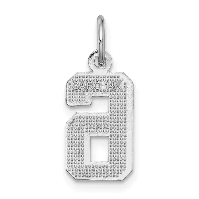 TreasureFineJewelers 14k White Gold Small Brushed Diamondcut Number 6 Charm Charm Necklaces