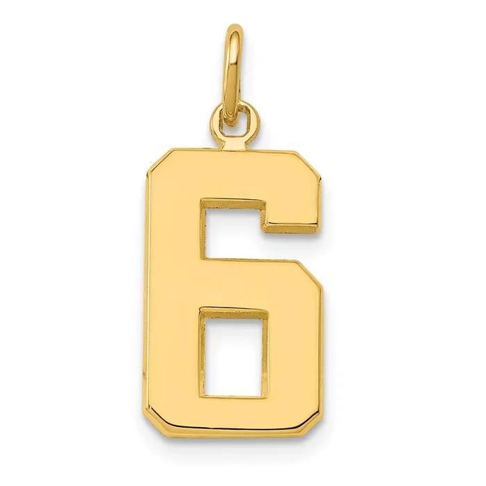 TreasureFineJewelers Charm Necklaces 14k Medium Polished Number 6 Charm