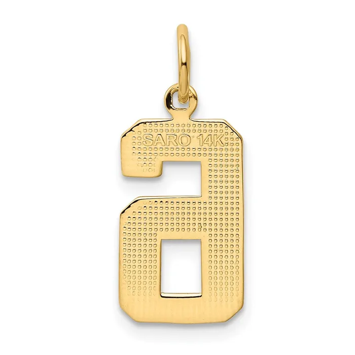 TreasureFineJewelers Charm Necklaces 14k Medium Polished Number 6 Charm