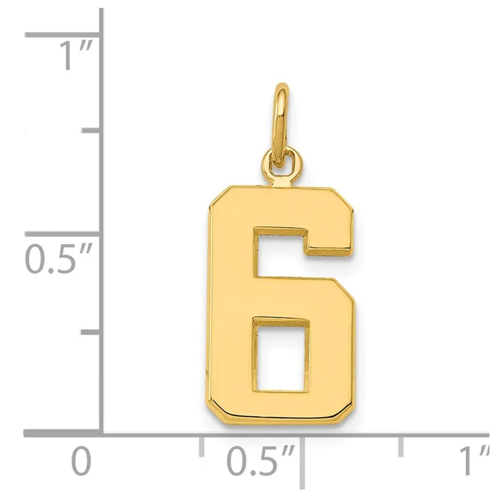 TreasureFineJewelers Charm Necklaces 14k Medium Polished Number 6 Charm