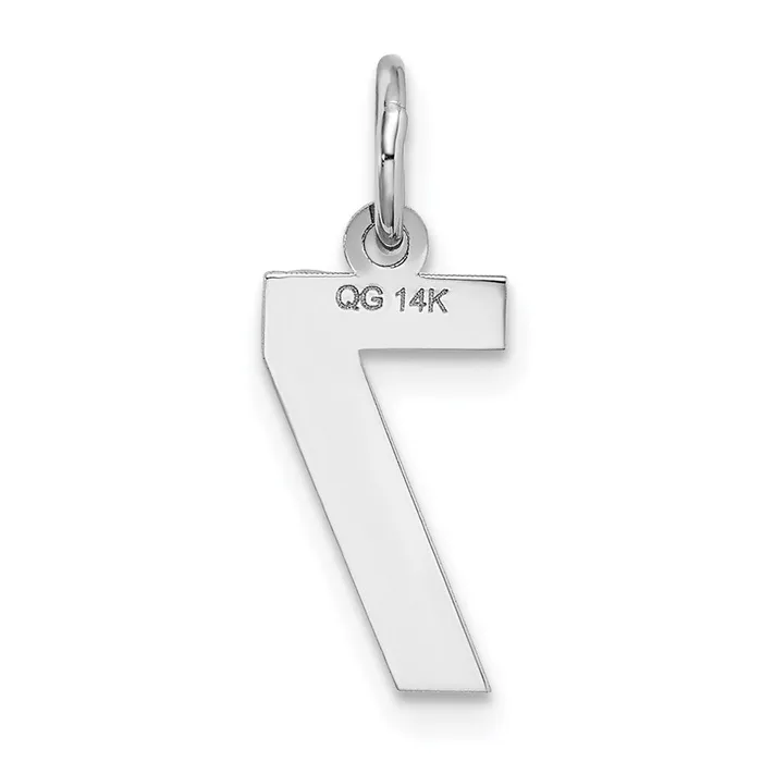 TreasureFineJewelers Charm Necklaces 14k White Gold Small Satin Number 7 Charm