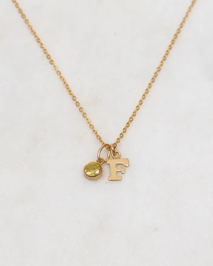 Necklaces ERIJEWELRY Initial F with Birthstone Necklace