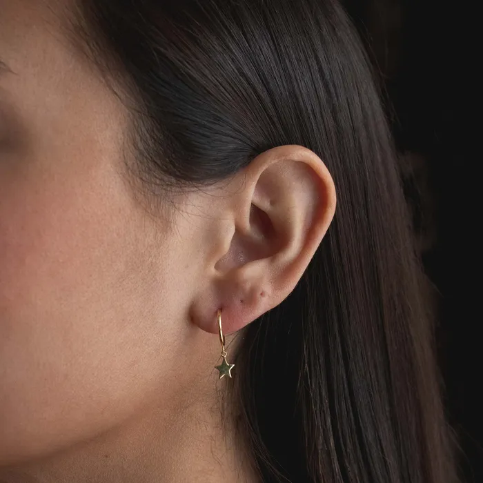Tashi Earrings Gold Vermeil Star Hoops