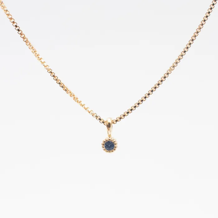 Tashi Necklaces Gold Vermeil Tiny Milgrain Edge Blue Sapphire Necklace